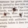 Great, Here Come The Ticks